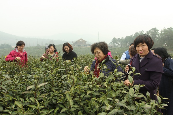 万博ManbetxAPP举办“品特色文化，寻生态乡村”主题实践活动